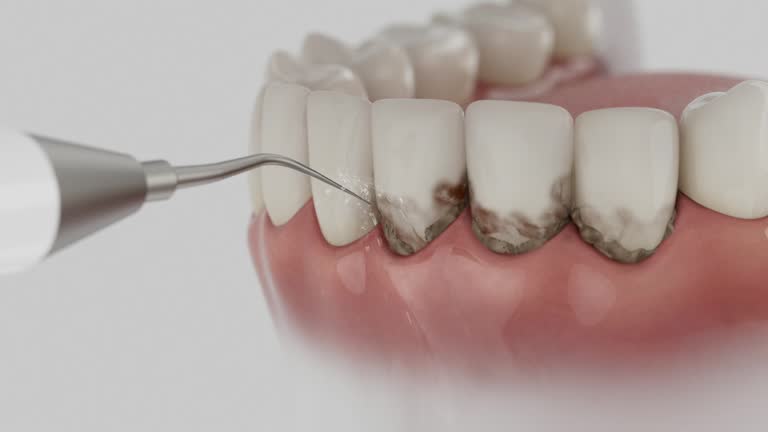 Reliable Dental contractor in Thurmont, MD by Dentist Open Now